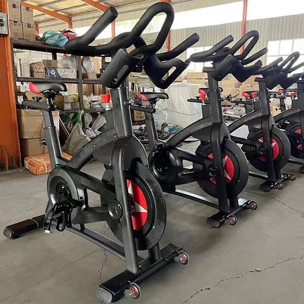 Exercise Bike Magnetic Resistance - Bicicletta da ciclismo professionale per interni,