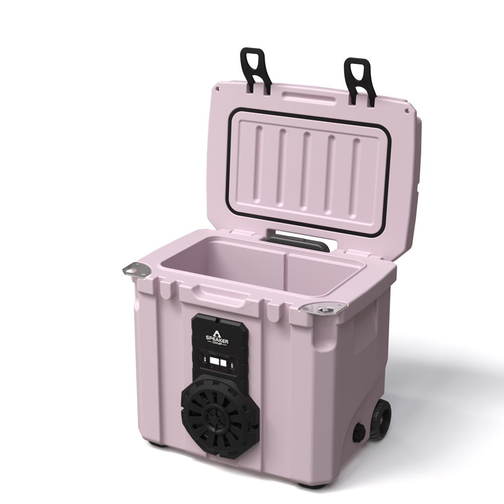Borsa Frigo Portatile da 35L c - Camping recensione e prezzo